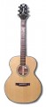 Takamine TD50N D series acoustic guitar