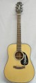 Takamine D20 Acoustic