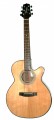 Takamine TED50SCN